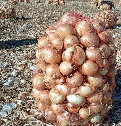 پیاز زرد خوش رنگ|خوردنی و آشامیدنی|داران, |دیوار