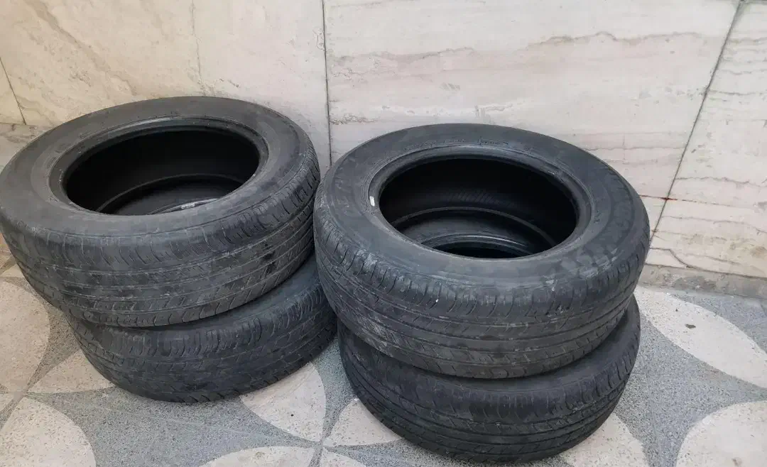 همه نو هستن|حراج|شیراز, آبیاری|دیوار