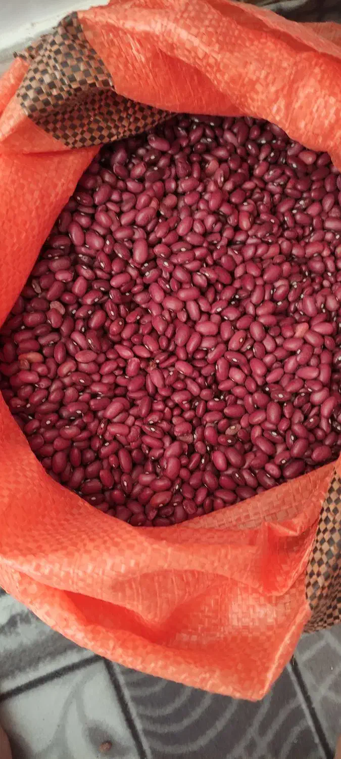 لوبیاقرمز|عمده‌فروشی|سجاس رود, |دیوار