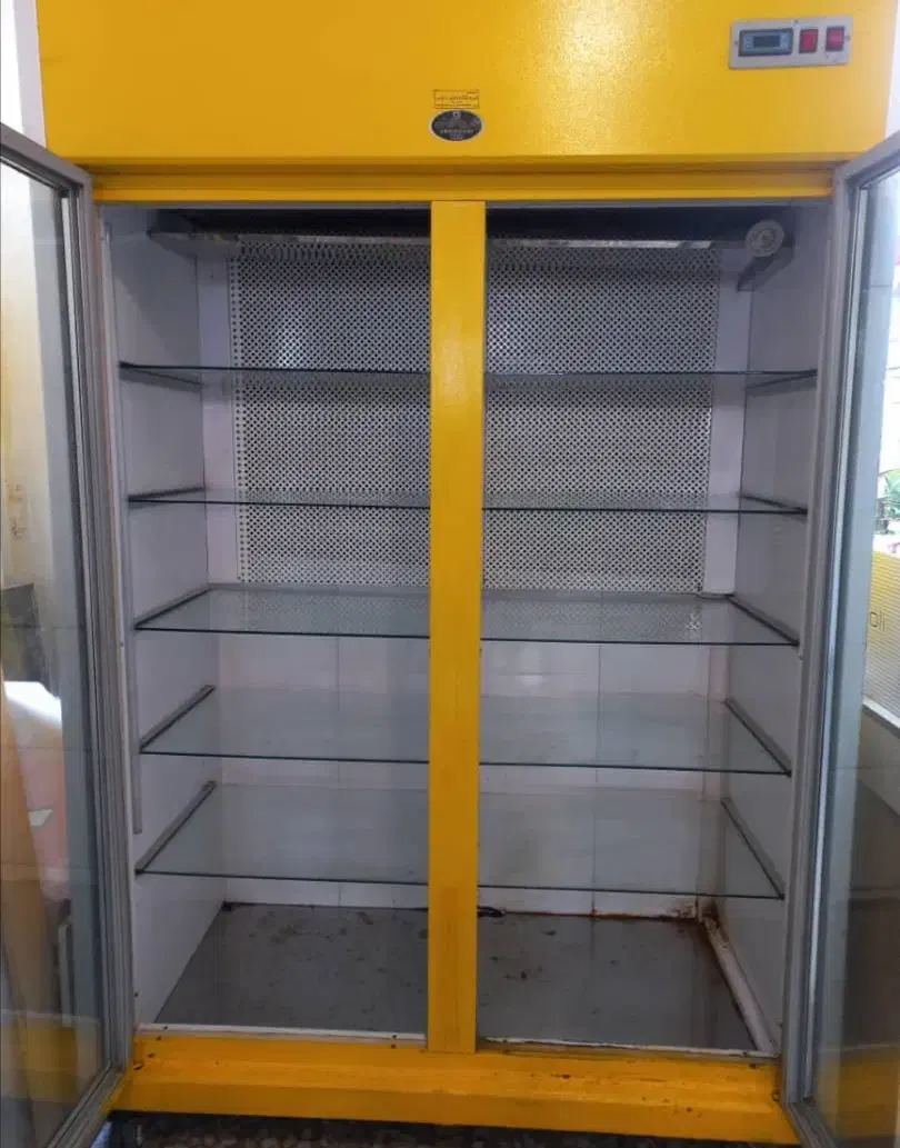 یخچال ایستاده|یخچال و فریزر|رشت, فرزانه|دیوار