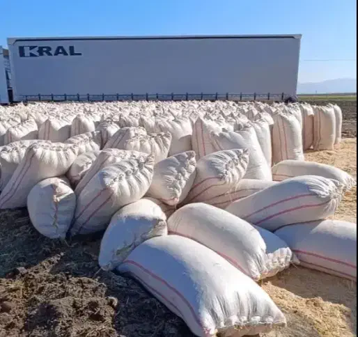 کاه گندم نرم و ریز|عمدهفروشی|سلامی, |دیوار