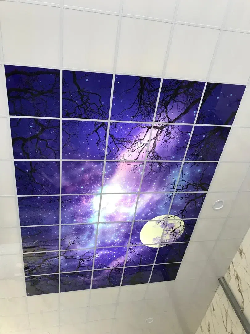 سقف کاذب فیروزآباد و حومه (حیدری)|عمدهفروشی|فیروزآباد (فارس), |دیوار