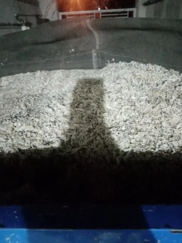 تفاله دونم. تفاله خشک. ذرت بسته بندی.موجود است|عمده‌فروشی|قوچان, |دیوار