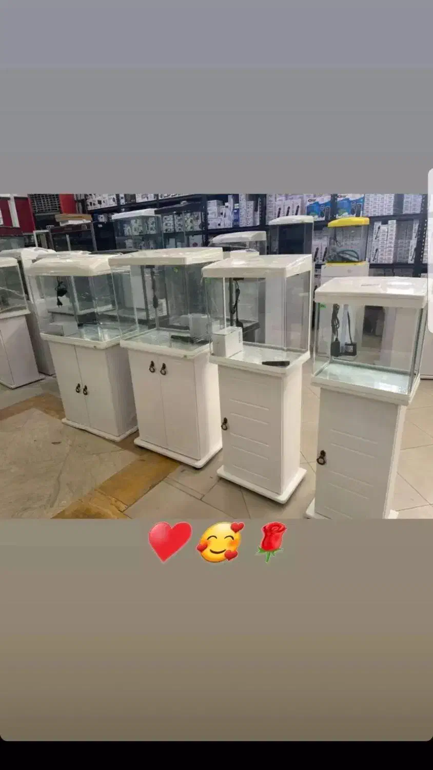 آکواریوم امواج|ماهی|زاهدان, |دیوار