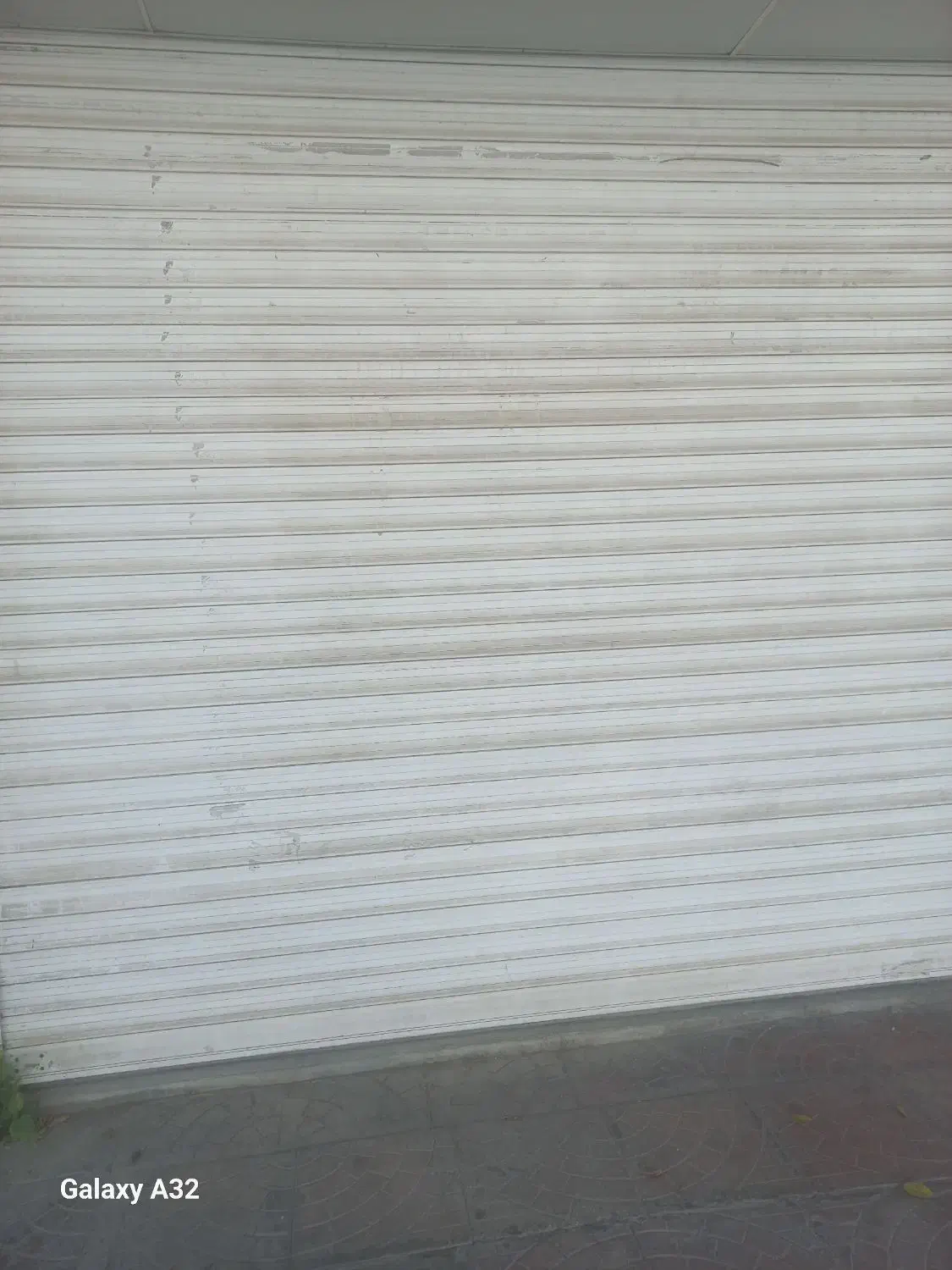 مغازه ۴۰|اجارهٔ مغازه و غرفه|بوشهر, |دیوار