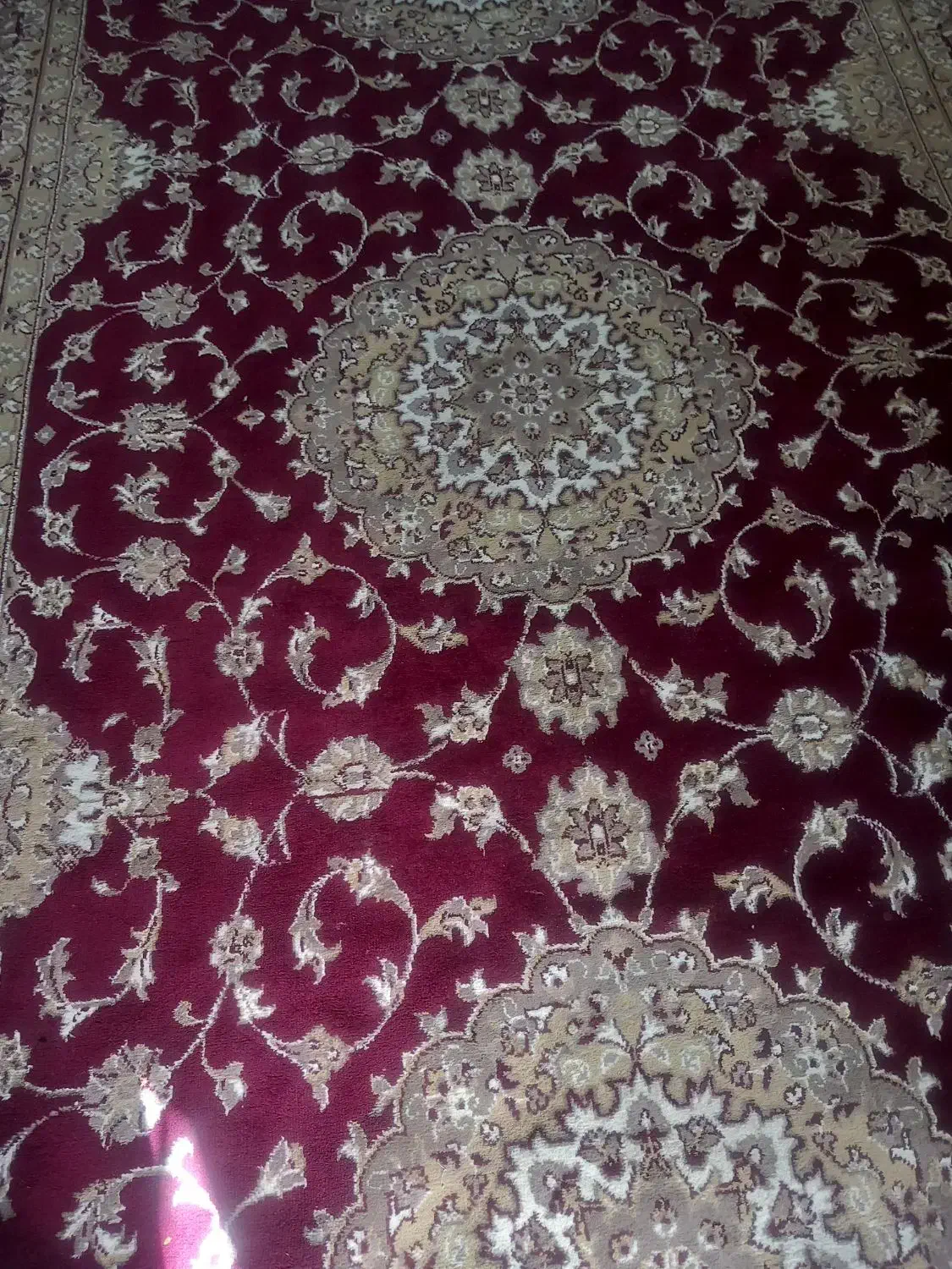 قالی|فرش|اهواز, کوی پلیس|دیوار