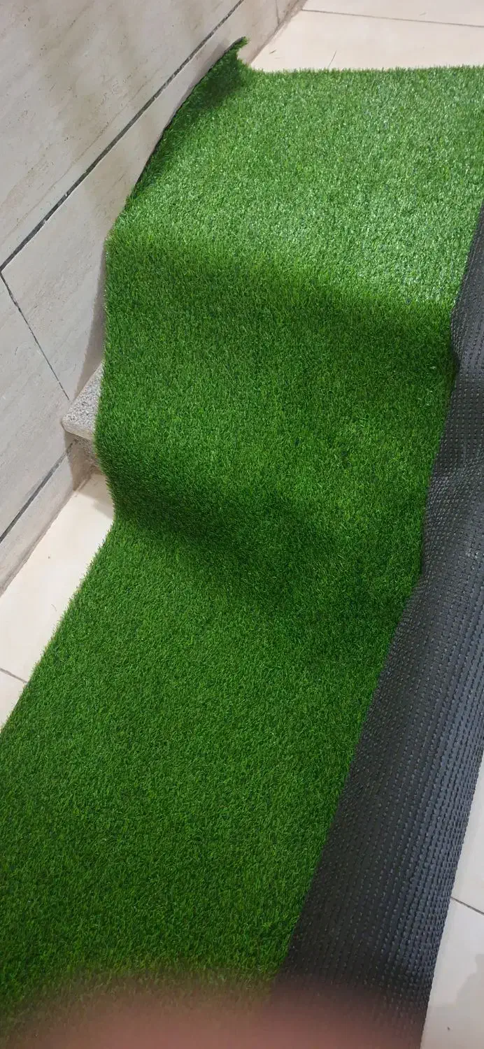 چمن مصنوعی|مصالح و تجهیزات ساختمان|شیراز, شاه قلی بیگی|دیوار