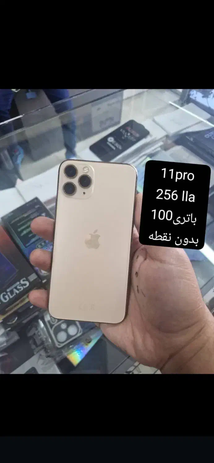 اقساط با ضمانت طلا|موبایل|صدرا-فارس, فاز ۱|دیوار