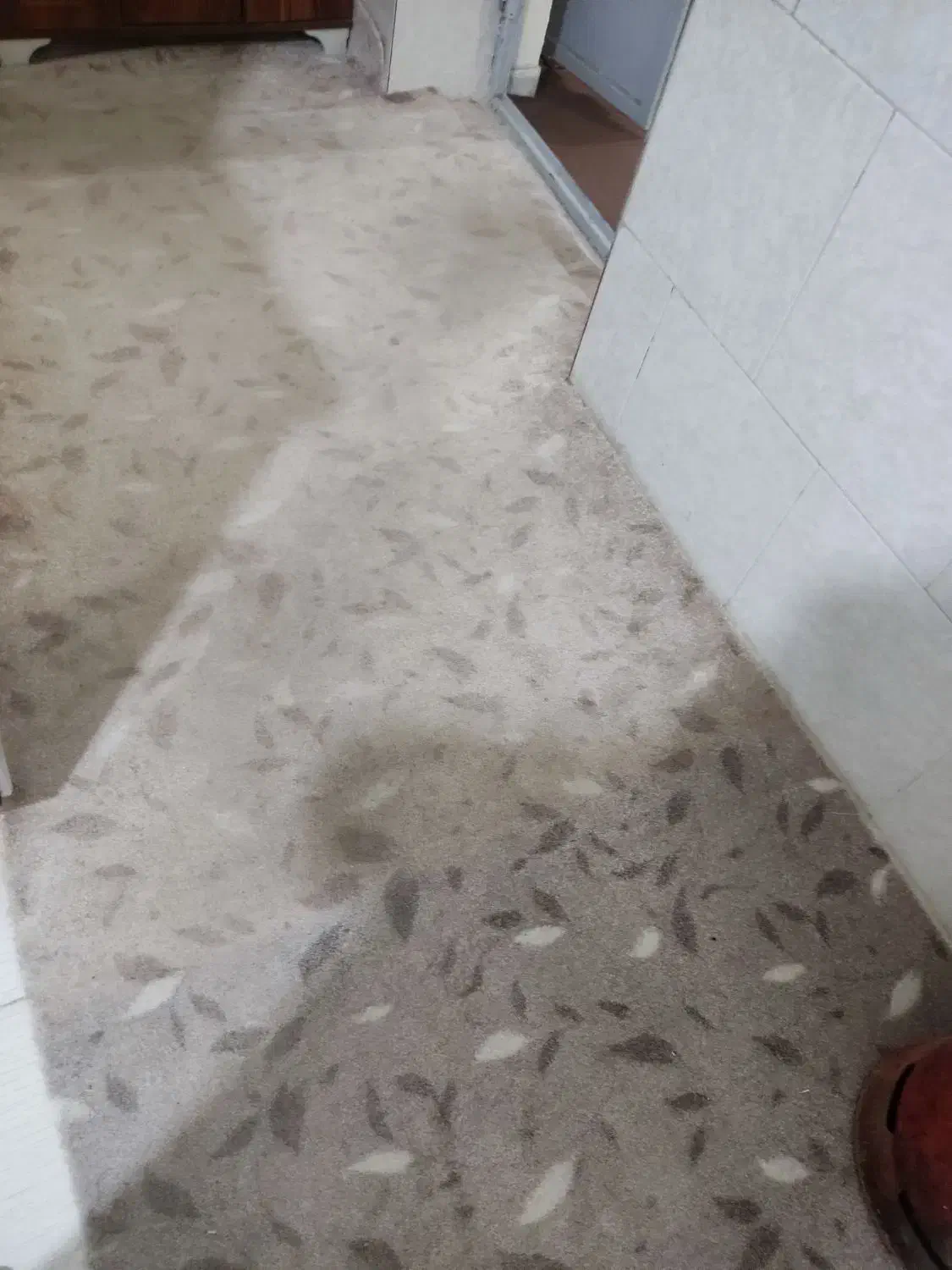 مقداری موکت سالم وتمیز|موکت|یزد, |دیوار