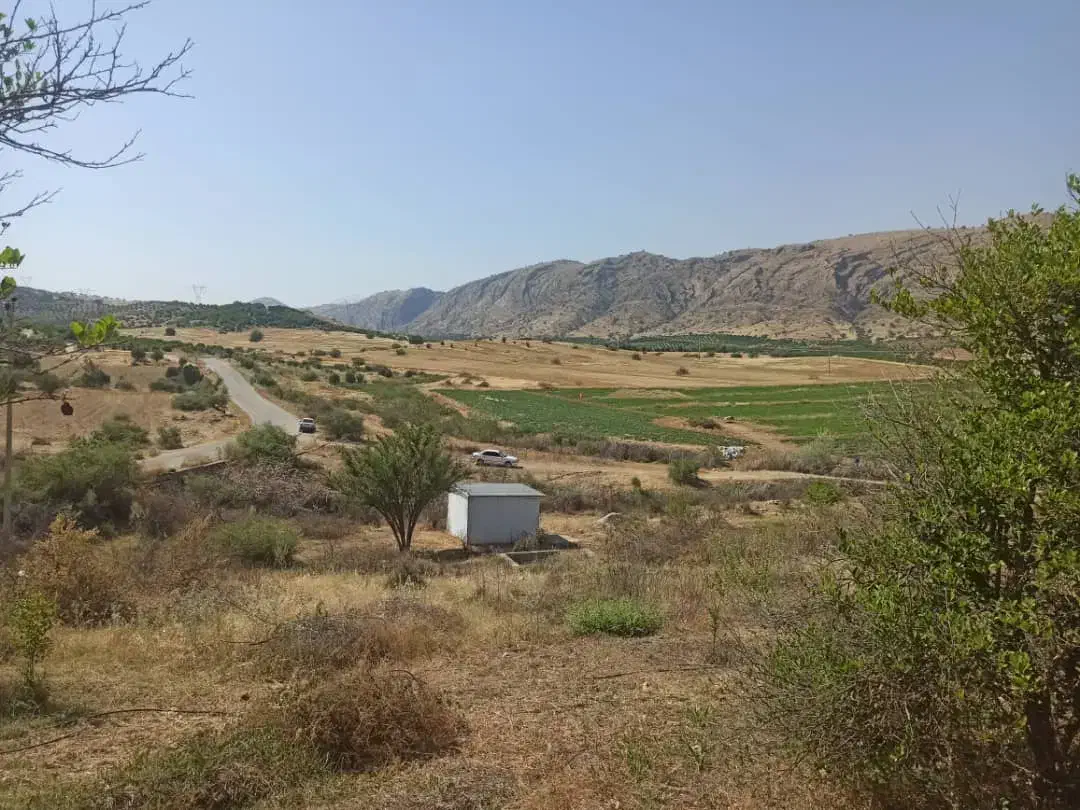 3000متر باغ لیمو|فروش خانه و ویلا|بوستان, |دیوار