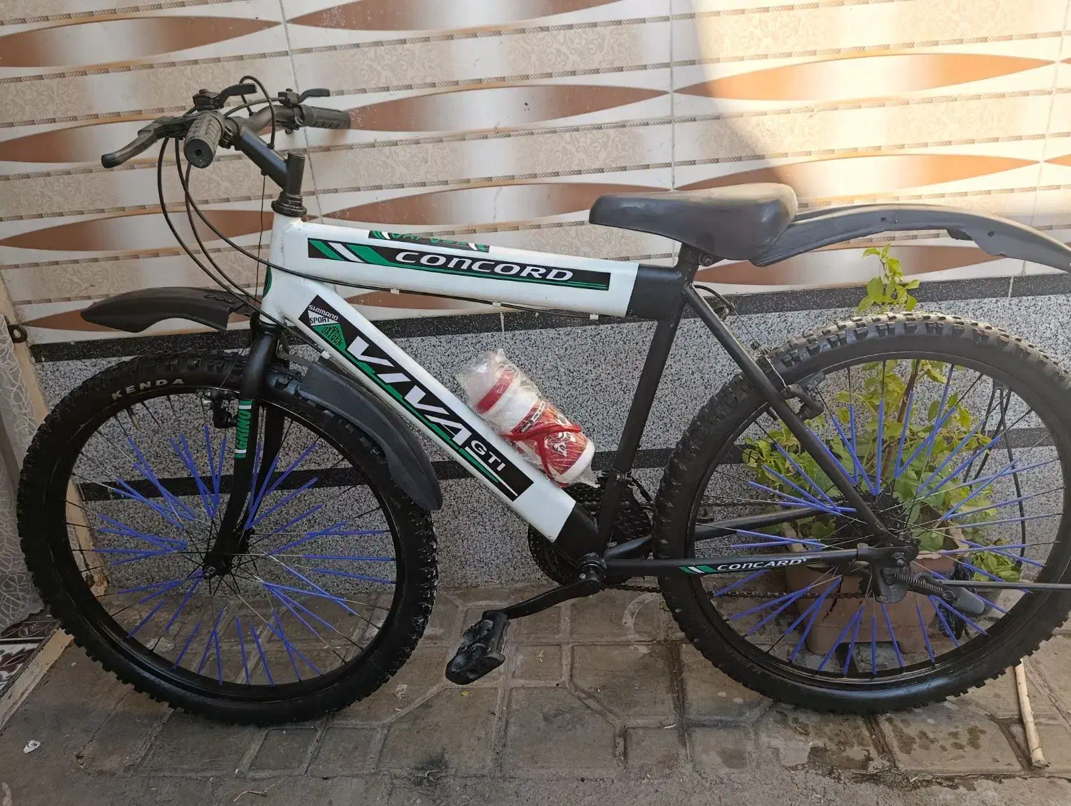 دوچرخه 26 ویوا دنده ای در حد آک|دوچرخه، اسکیت، اسکوتر|کرمان, |دیوار