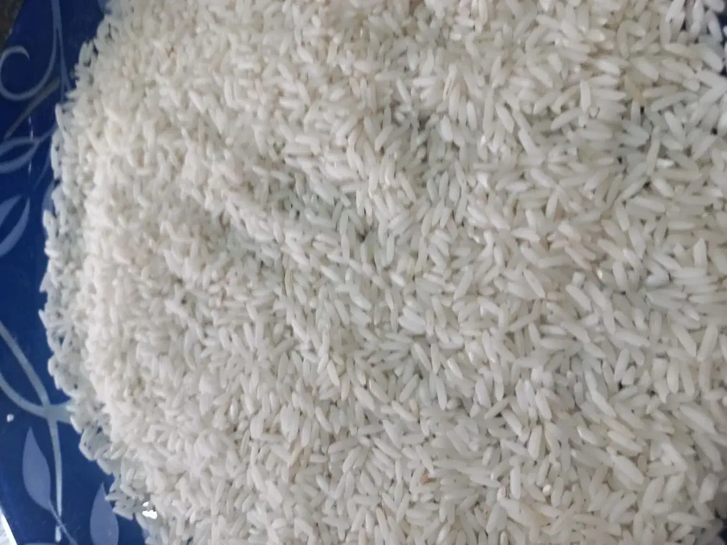 برنج هاشمی پاکوتاه|خوردنی و آشامیدنی|ساری, |دیوار