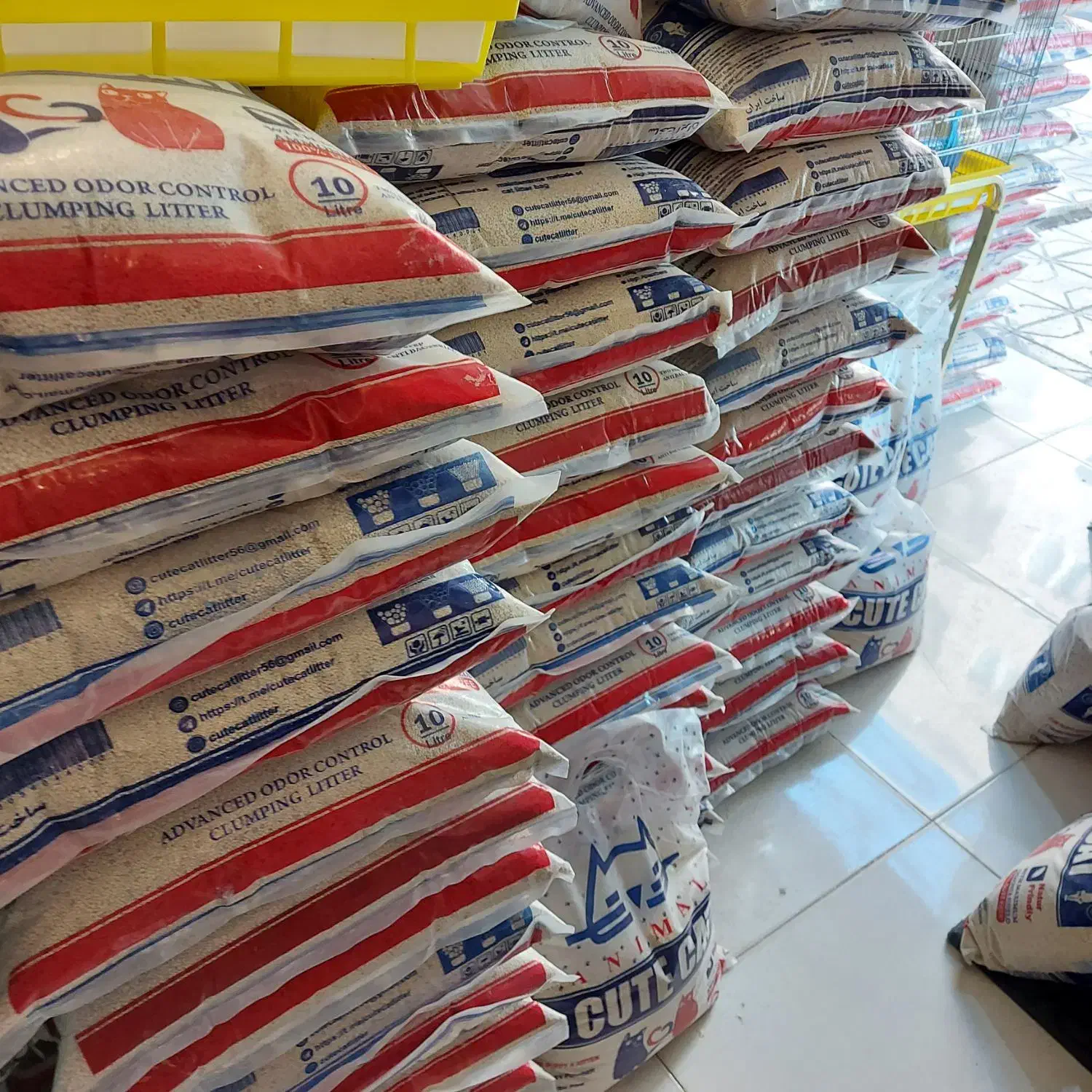 پخش خاک گربه|لوازم جانبی حیوانات|مشهد, گلبرگ|دیوار