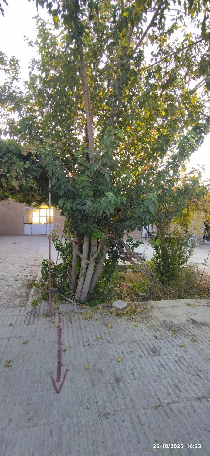 خانه قدیمی|فروش زمین و ملک کلنگی|ماهان, |دیوار