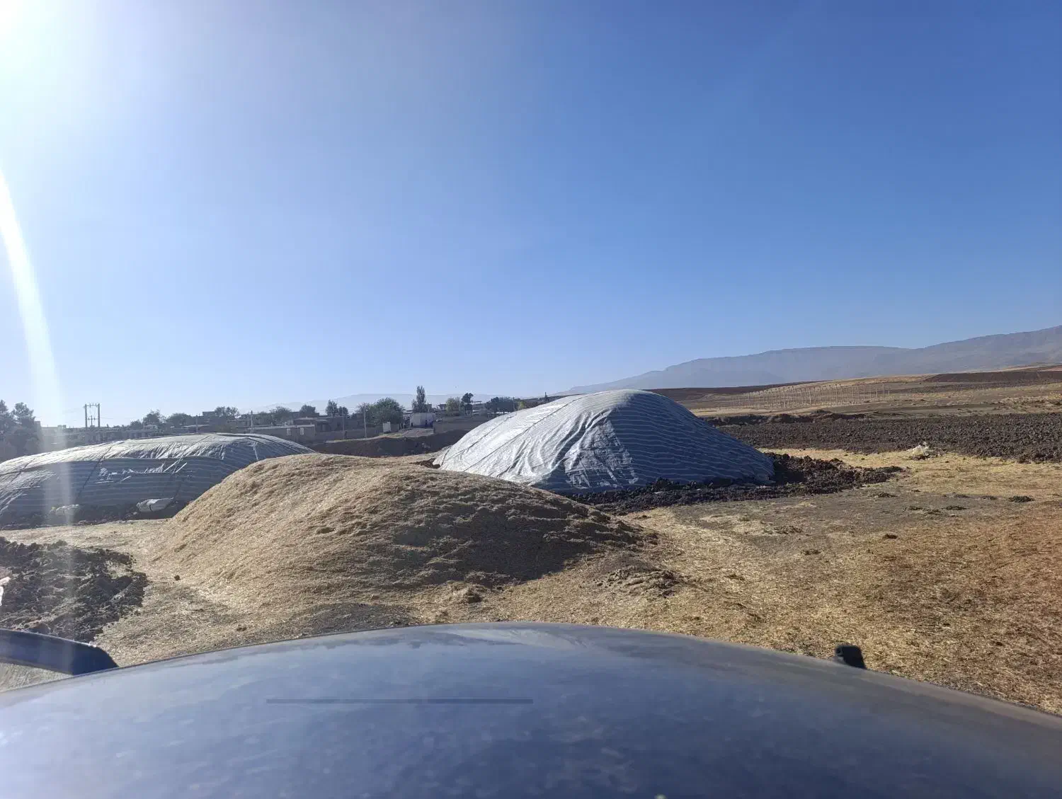 کارگرکاه|خدمات باغبانی و درختکاری|اسلام‌‌آباد غرب, |دیوار