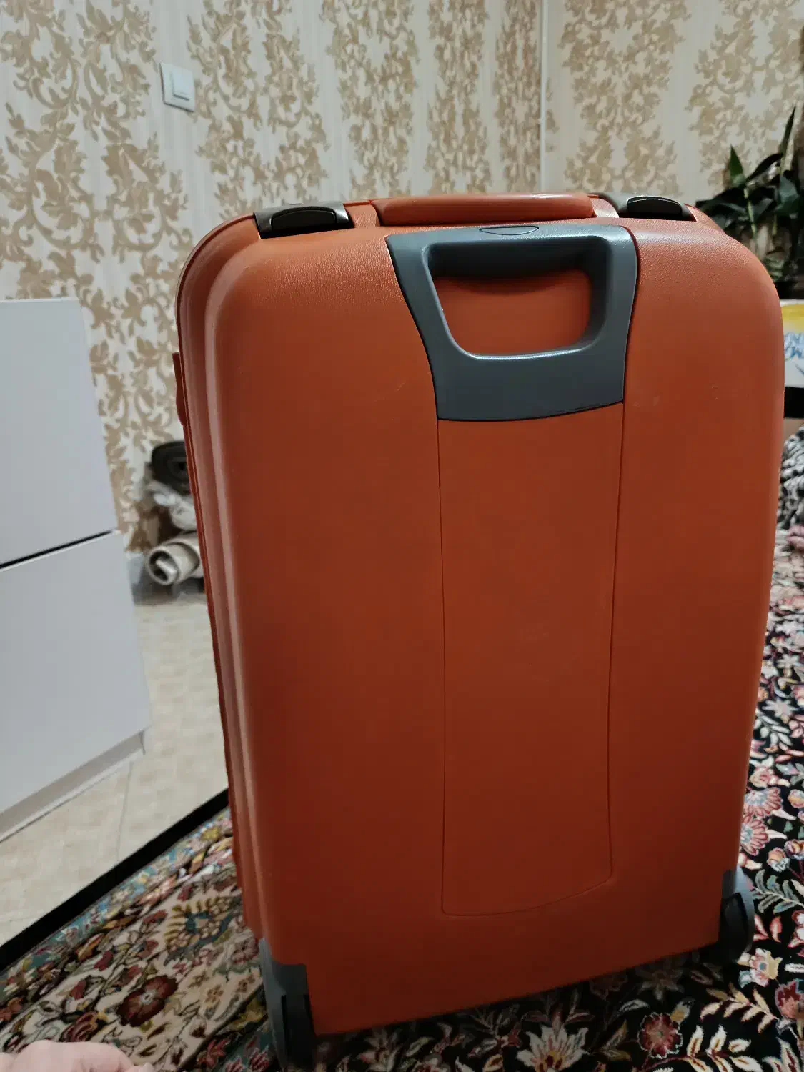 چمدان|کیف، کفش، کمربند|کرج, گوهردشت|دیوار