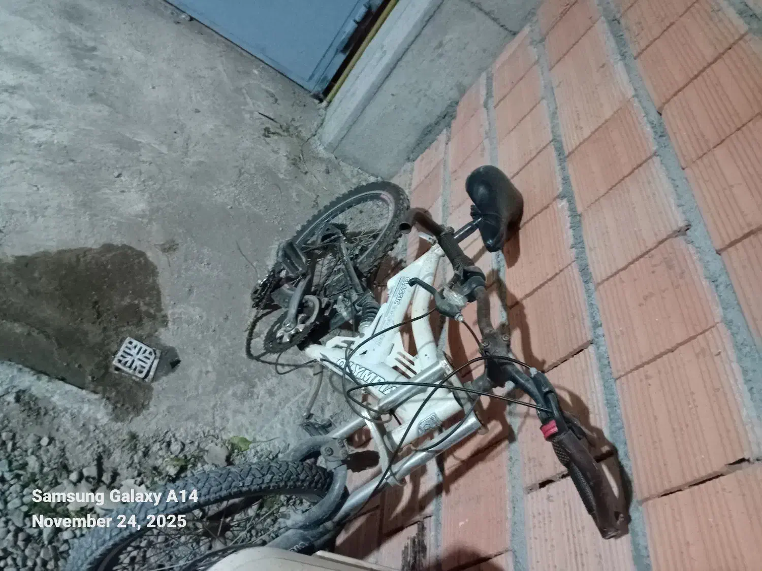 دوچرخه|دوچرخه، اسکیت، اسکوتر|علی‌آباد کتول, |دیوار