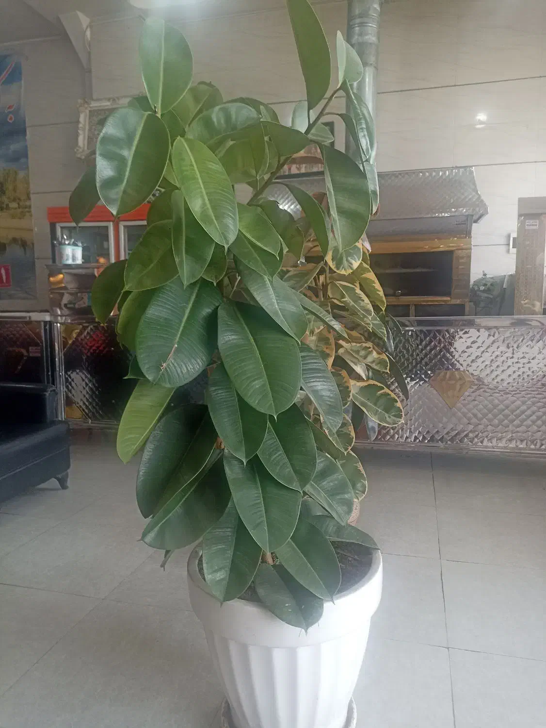 واگذاری وسایل کبابی|کافی‌شاپ و رستوران|قروه, |دیوار