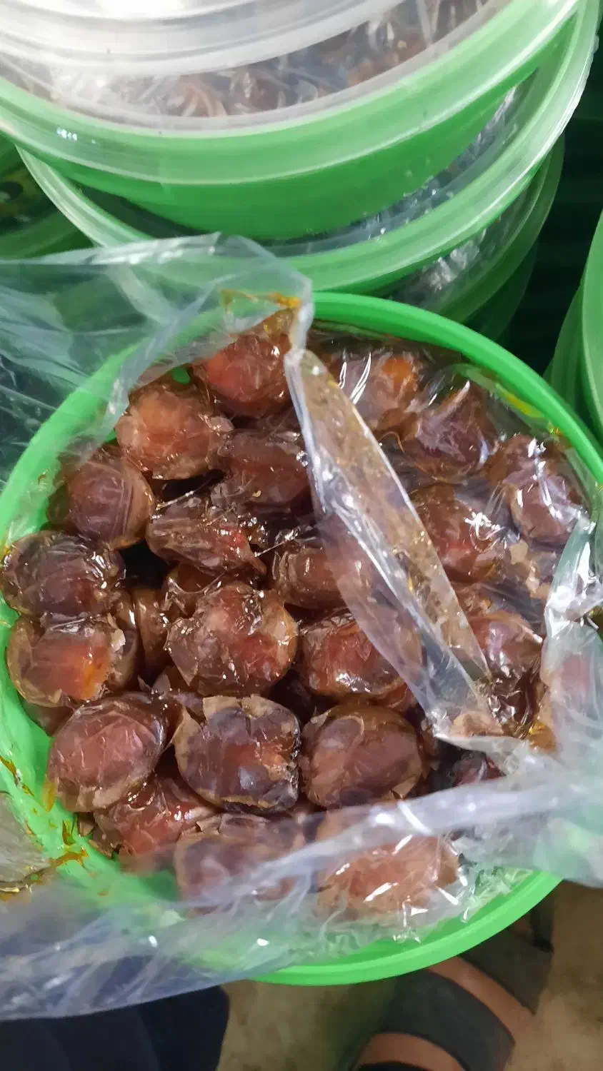 خرما ،برهی|عمده‌فروشی|برازجان, |دیوار