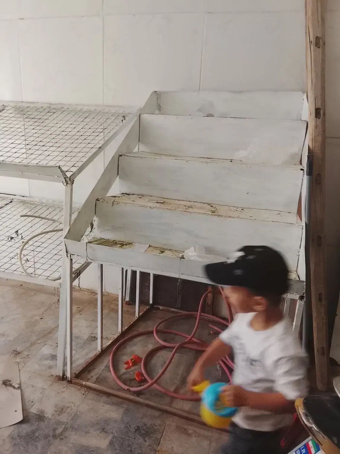 میز میوه فروشی|فروشگاه و مغازه|تربت‌حیدریه, پائین ولایت|دیوار