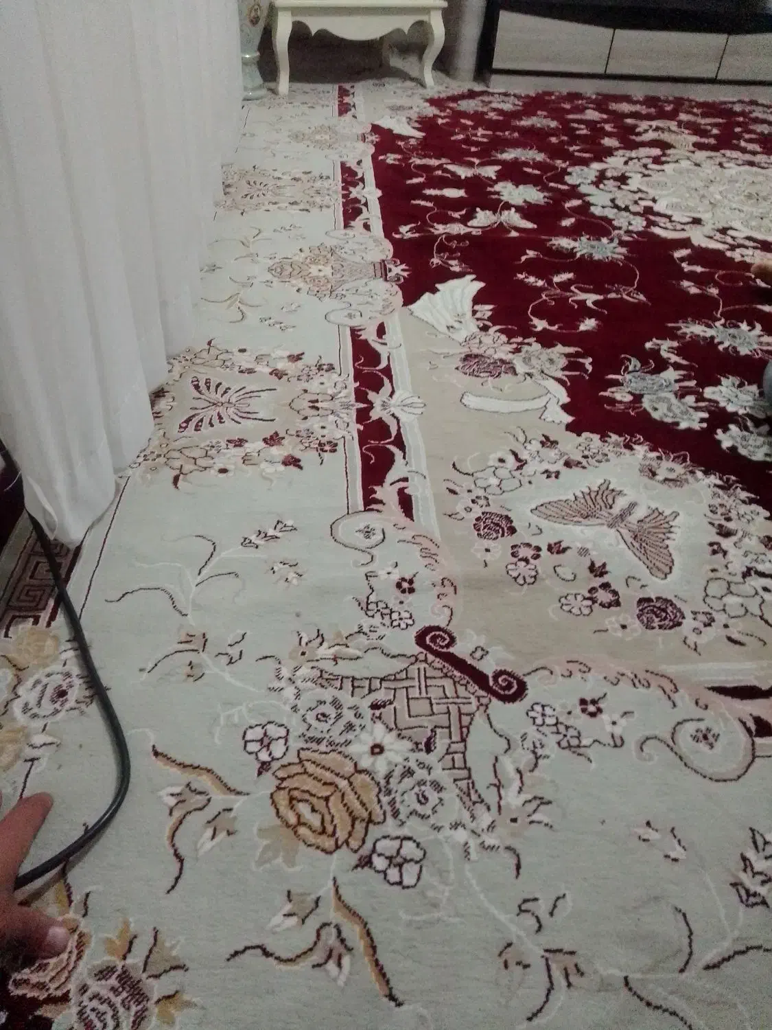 قالی|فرش|بجنورد, |دیوار