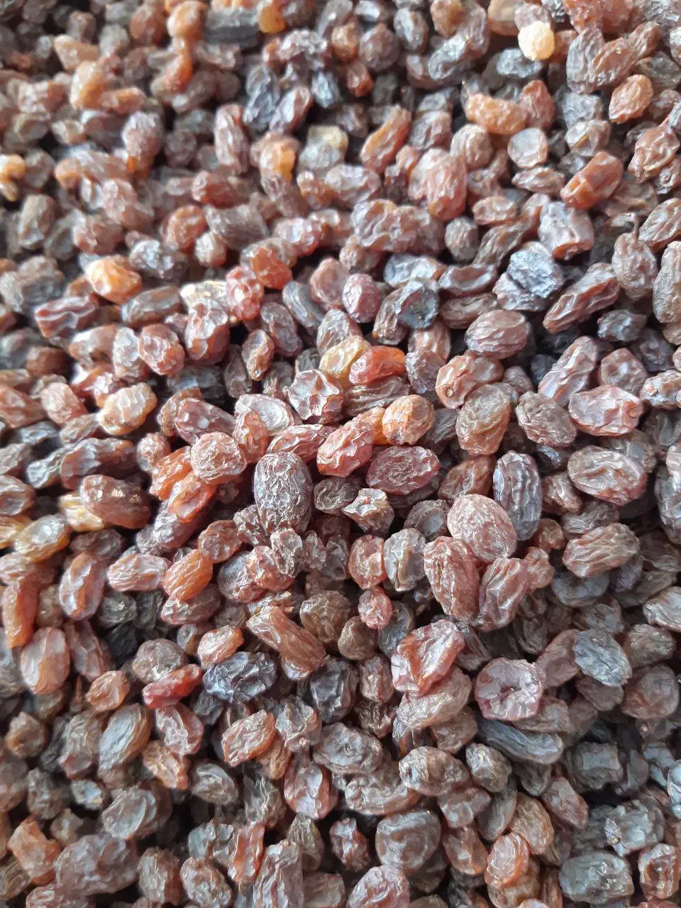 کشمش بیدانه|خوردنی و آشامیدنی|کرج, دولتآباد|دیوار