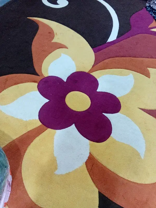 یک دست فرش ۱۲ متری تمیز|فرش|درگهان, |دیوار