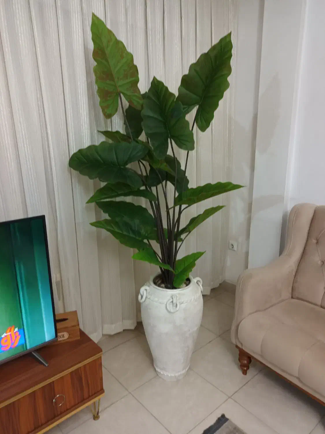 انواع درختچه با ارتفاعِ بلند|گل مصنوعی|ارومیه, |دیوار