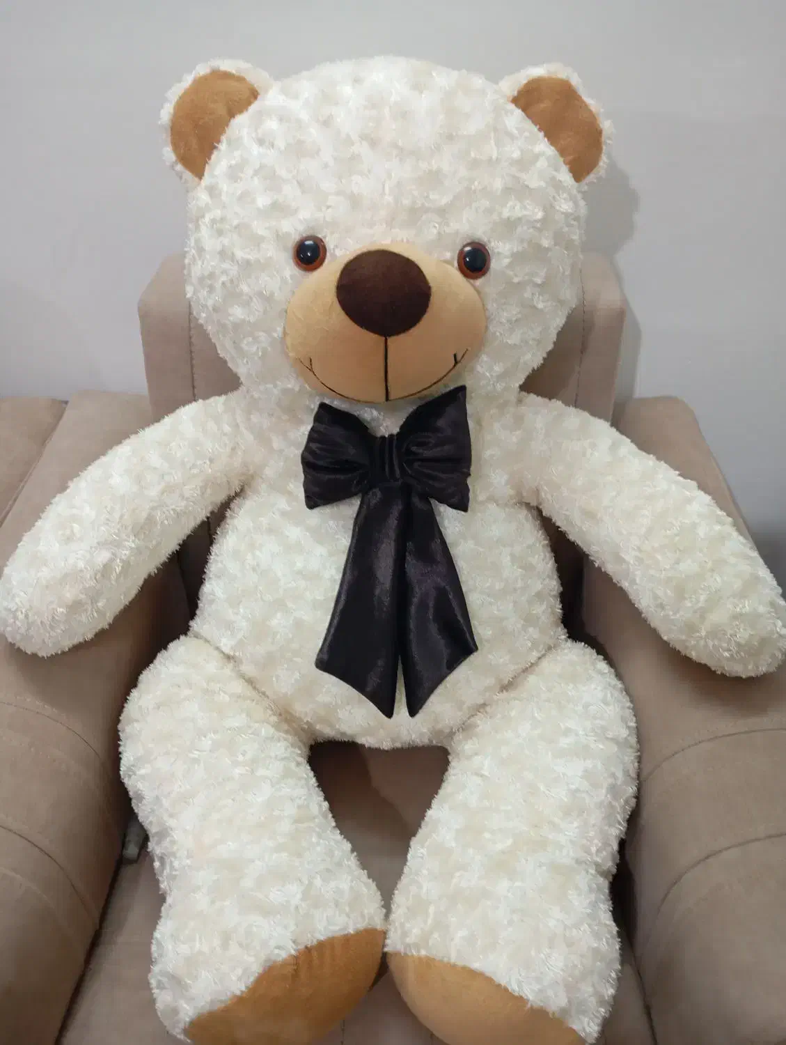 عروسک خرس|اسباب‌‌بازی|گناباد, |دیوار