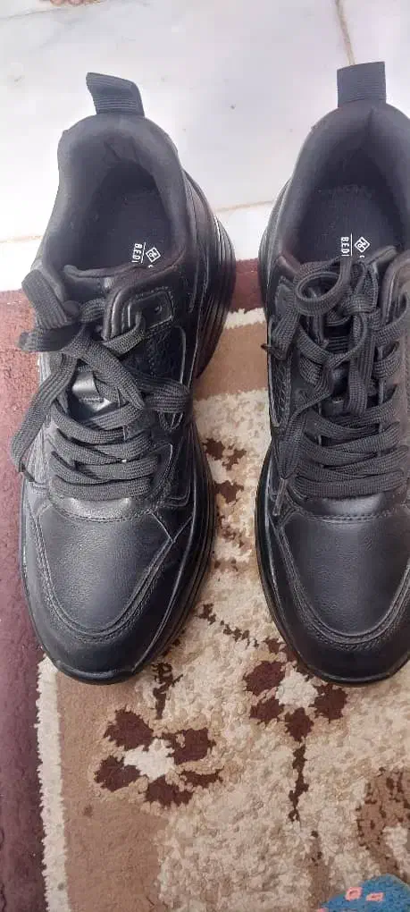 کفش دمپایی|کیف، کفش، کمربند|کنارک, |دیوار