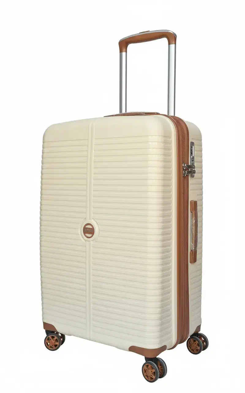 SUMMIT 2025|کیف، کفش، کمربند|تهران, جمالزاده|دیوار