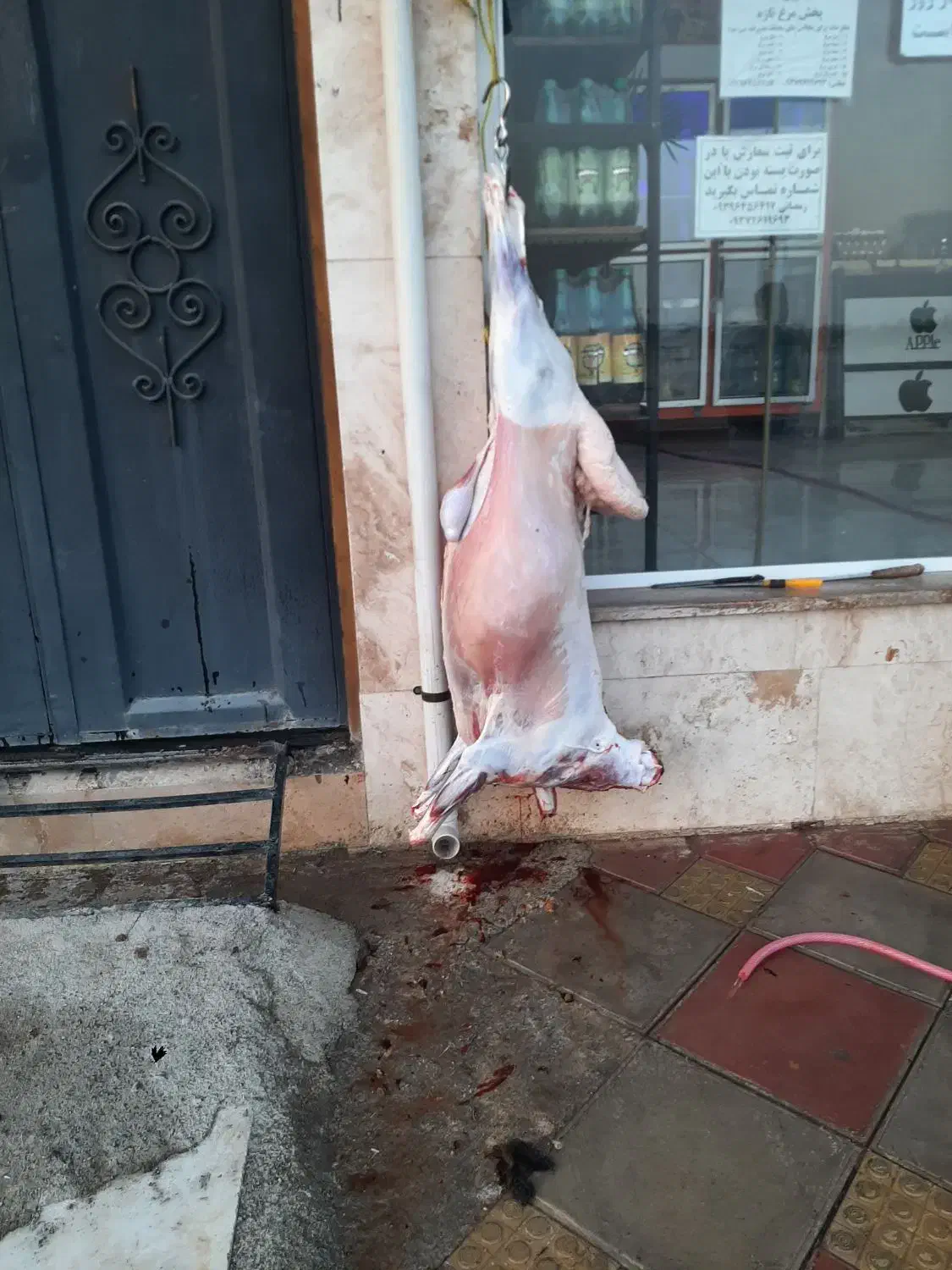 قصاب و سلاخ ذبح گوسفند و گوساله|خدمات پذیرایی، مراسم|اسلامشهر, شهرک مهدیه|دیوار