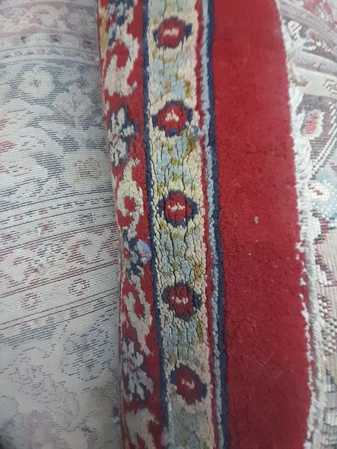 قالی|فرش|کرمان, |دیوار