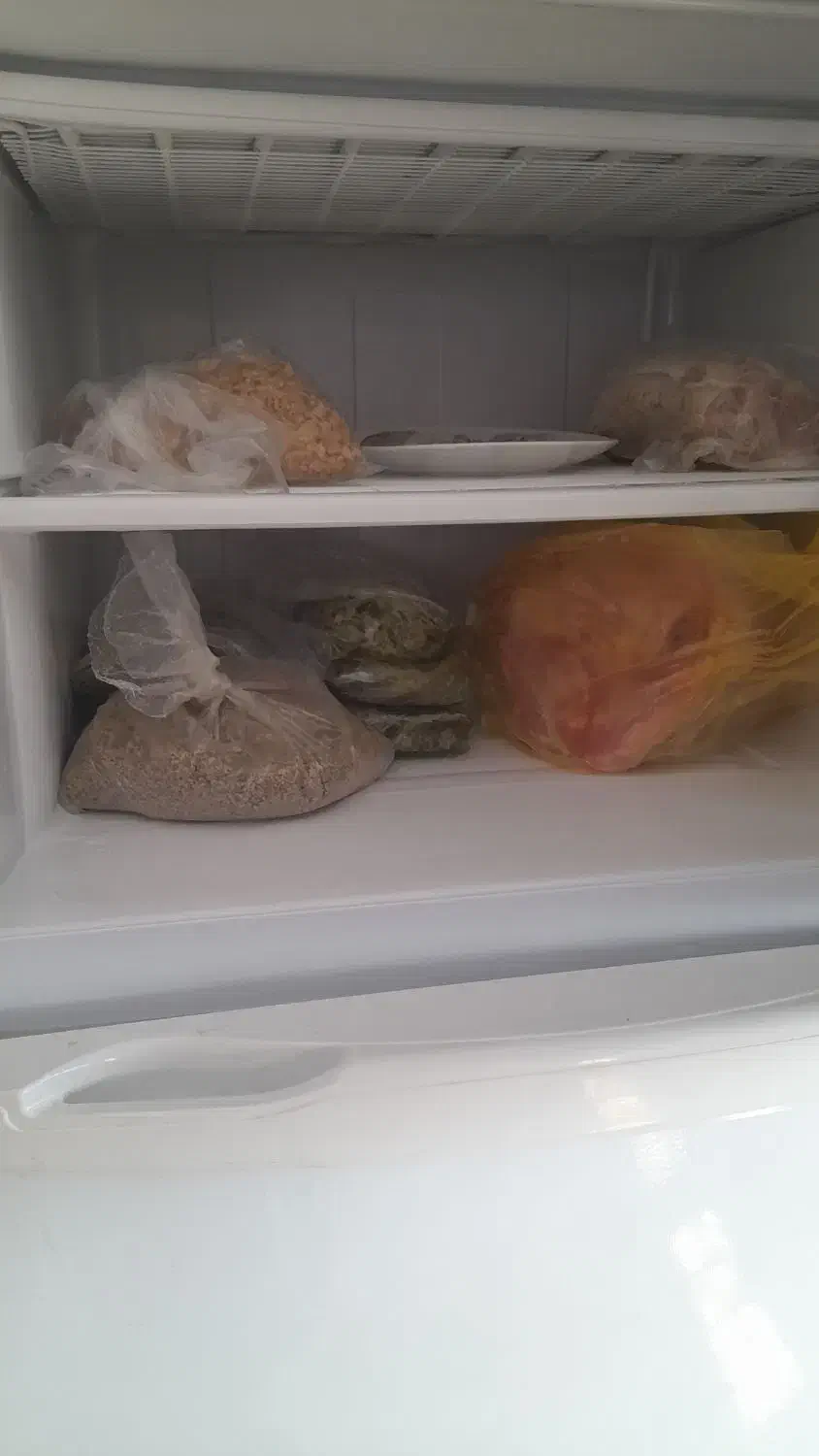 یخچال|یخچال و فریزر|قزوین, |دیوار