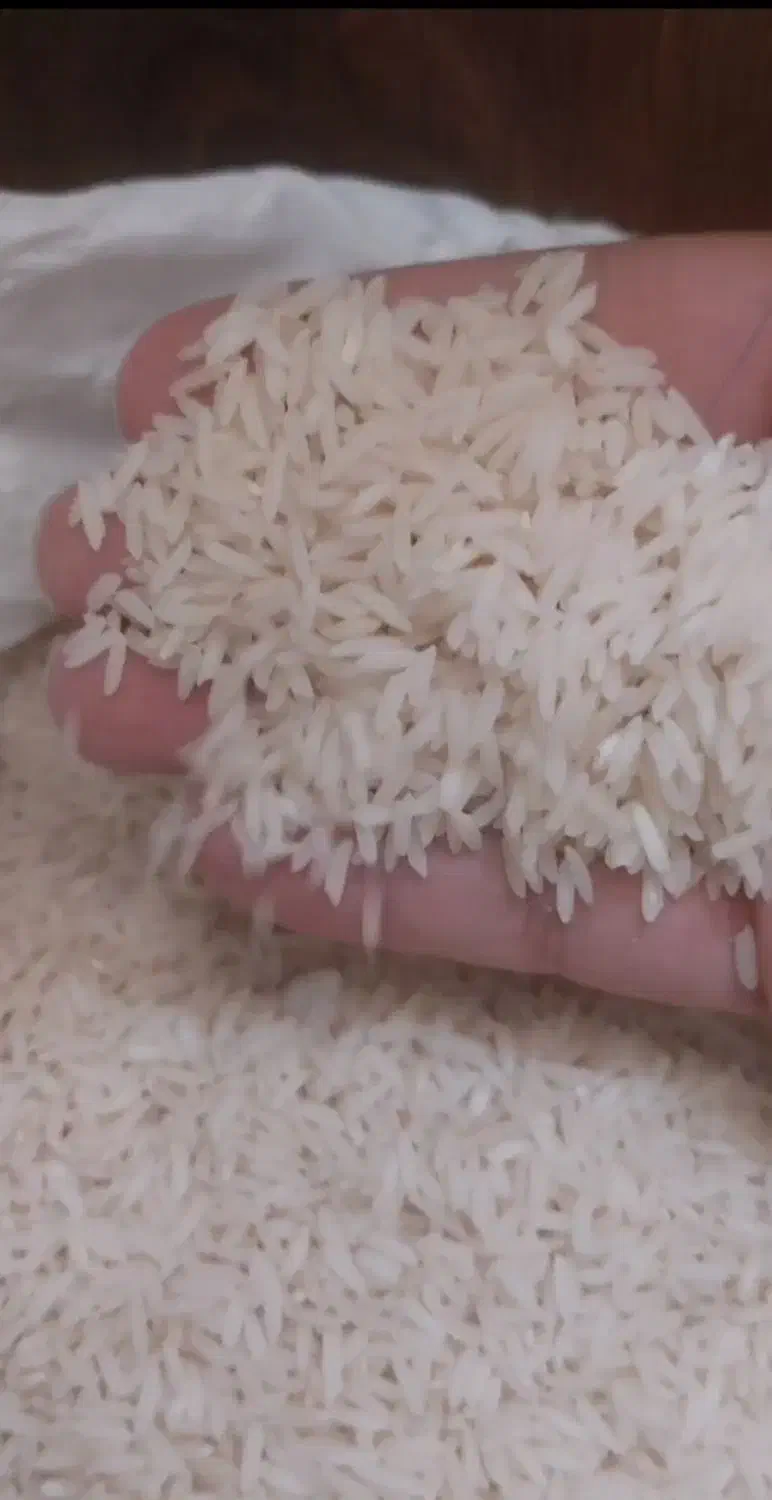 برنج اعلای صفربوجار کشت دوم|خوردنی و آشامیدنی|قم, حاج زینل|دیوار