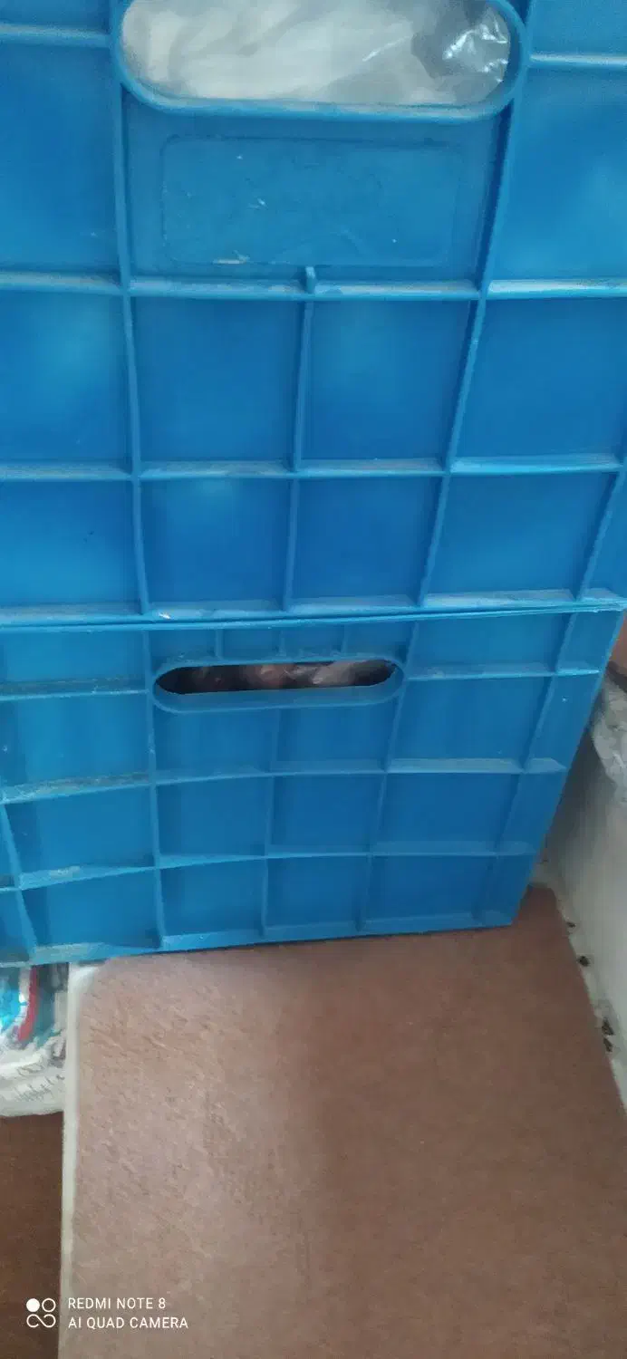 فروش سبد لبنیاتی|ظروف نگهدارنده، پلاستیکی، یکبارمصرف|اردبیل, |دیوار