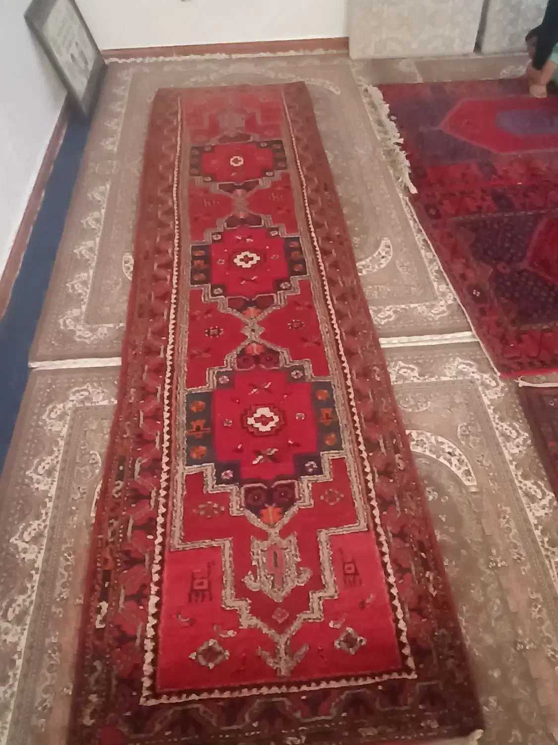 فرش دستبافت پشمی|فرش|اسفرورین, |دیوار