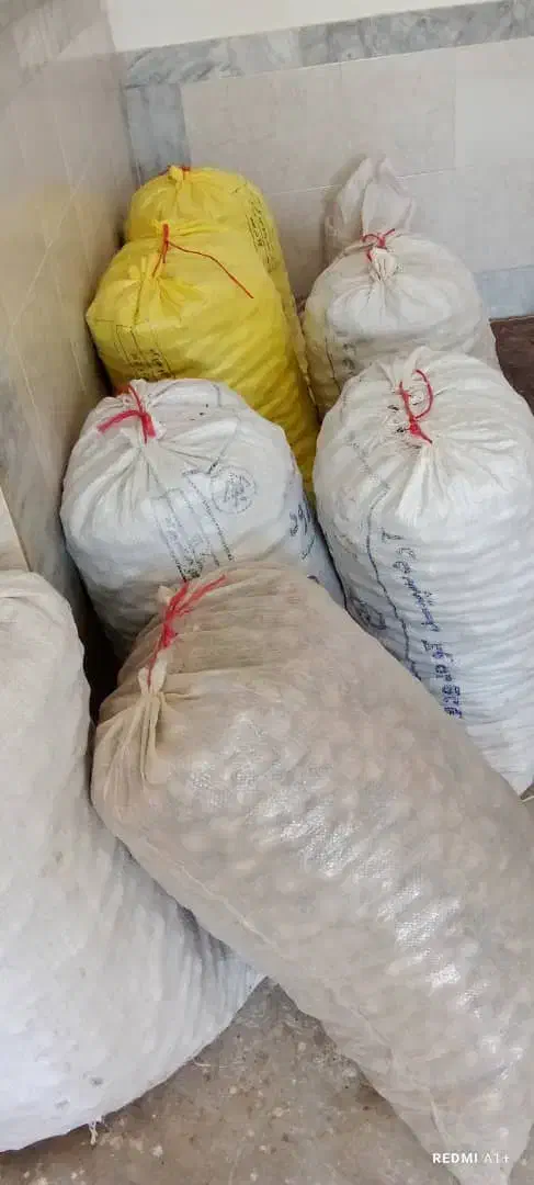 گردو کاغذی|خوردنی و آشامیدنی|سربند, |دیوار