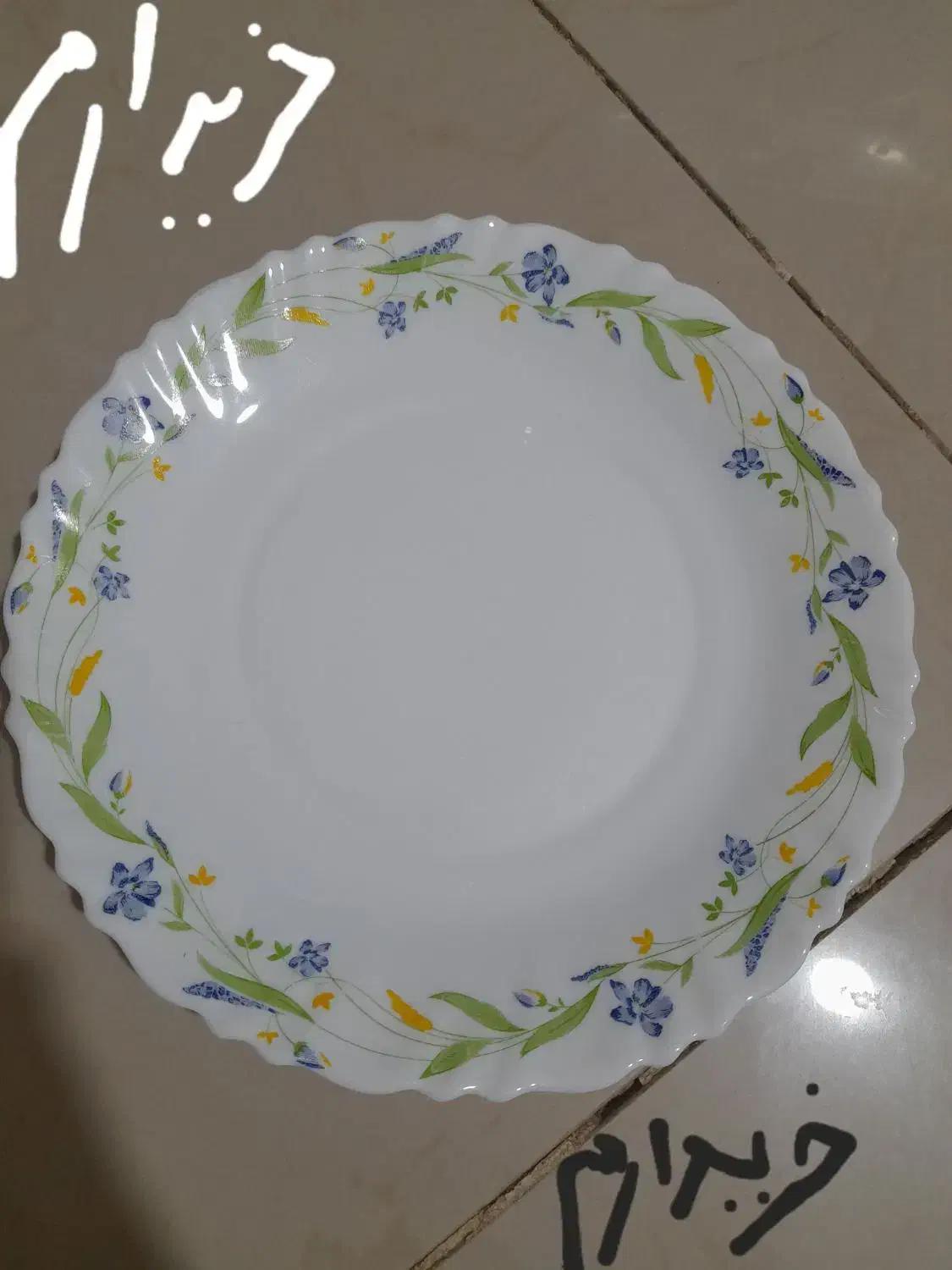 آرکوپال امارات|ظروف سرو و پذیرایی|قرچک, شهرک طلائیه|دیوار