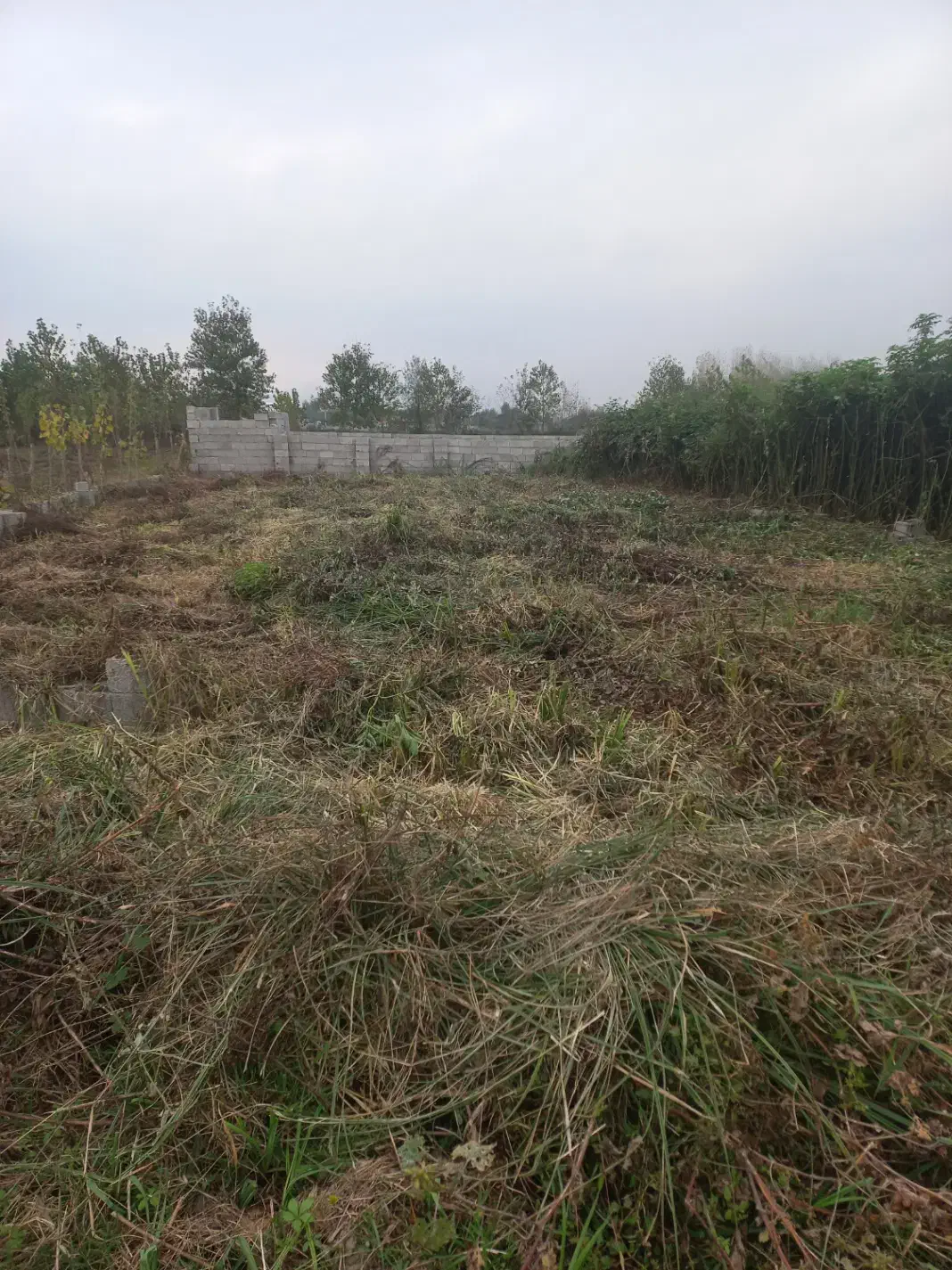 ۲۸۷مترزمین مسکونی پروانه ساخت|فروش زمین و ملک کلنگی|صومعهسرا, |دیوار