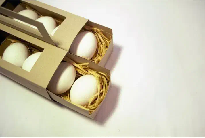 کارآفرین شو|استخدام آموزشی|تهران, شمس‌آباد|دیوار