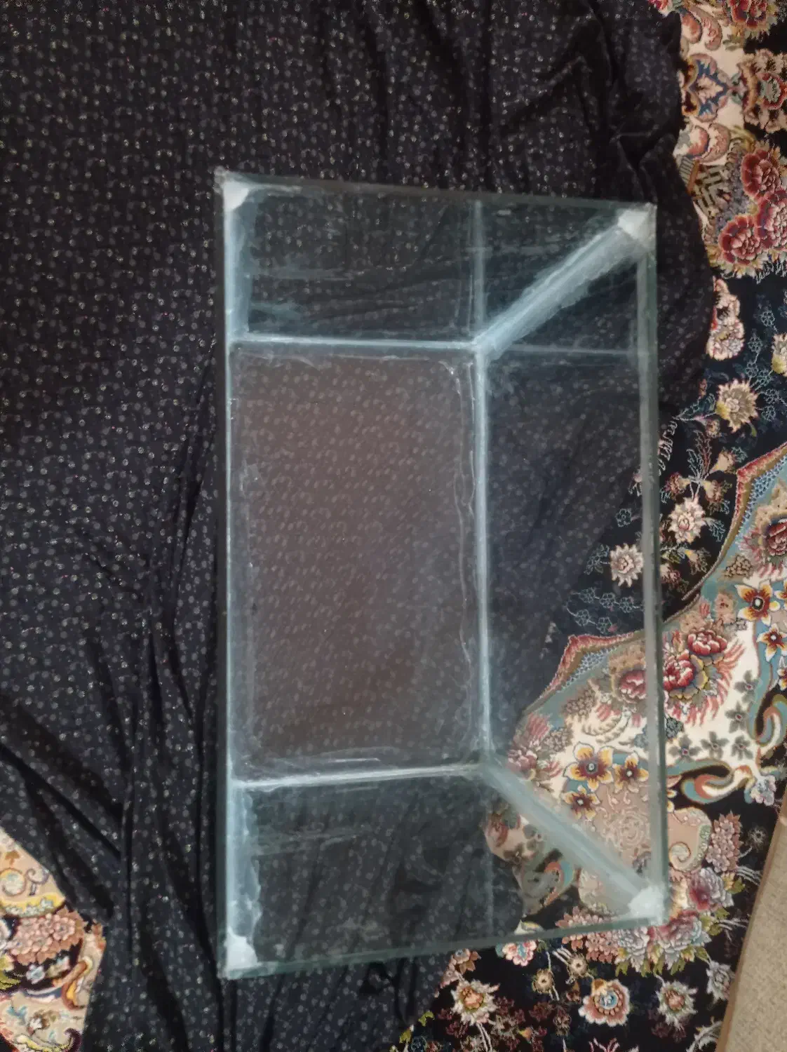 آکواریوم ماهی|ماهی|تربتحیدریه, سرمحله|دیوار