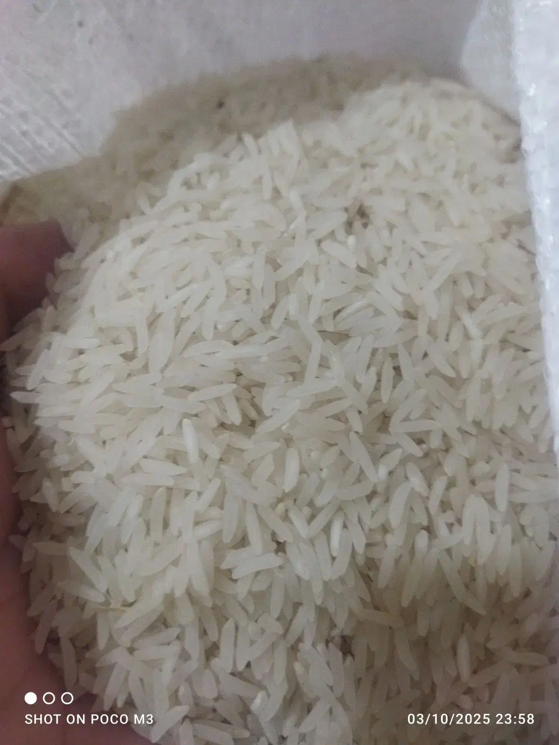 برنج طارم احمدی روشن|خوردنی و آشامیدنی|کلاله, |دیوار