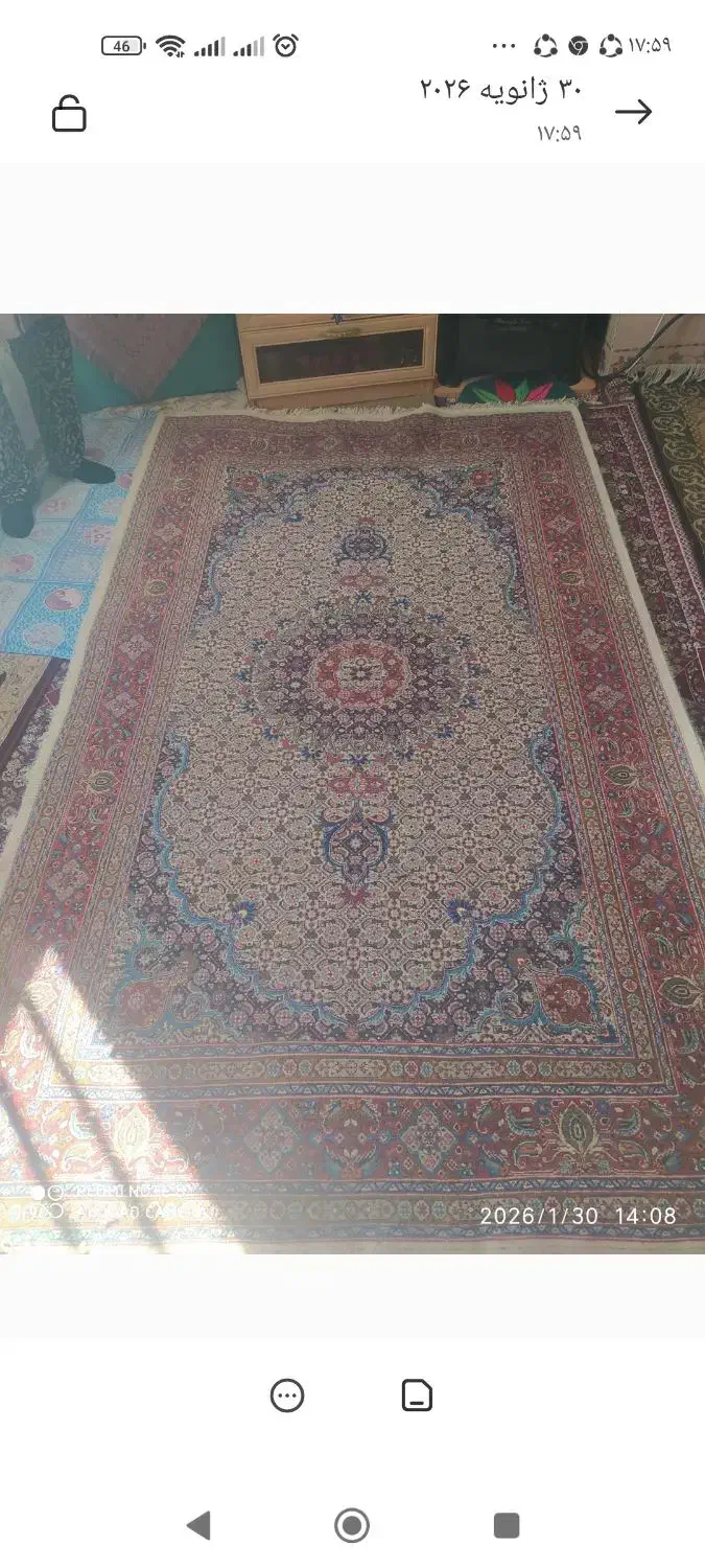 فرش دست باف|فرش|بیرجند, |دیوار