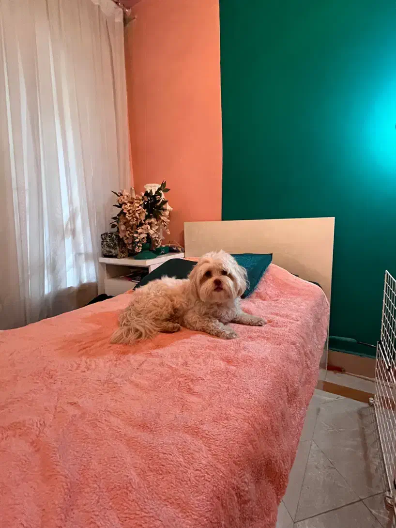 پانسیون خانگی|خدمات پیشه و مهارت|قم, دورشهر|دیوار