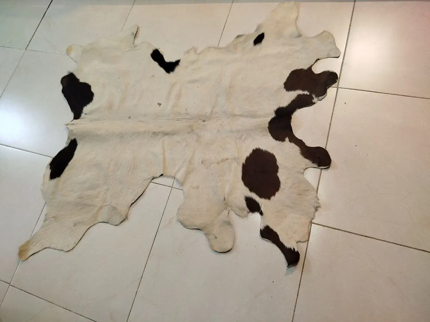 چرم طبیعی تبریز|روفرشی|کرمانشاه, |دیوار