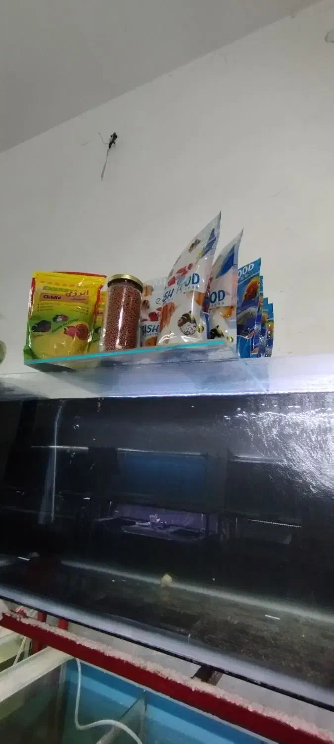 فروش لوازم آکواریوم فروشی|ماهی|سراوان, |دیوار