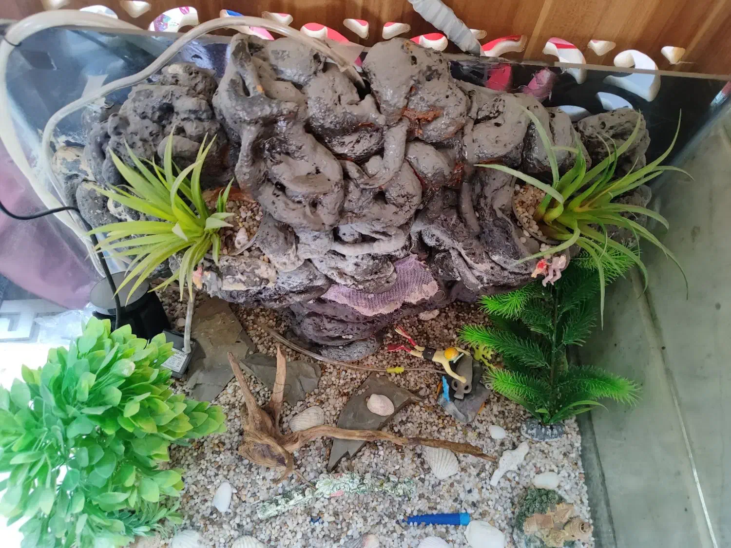 آکواریوم|ماهی|مبارکه, |دیوار