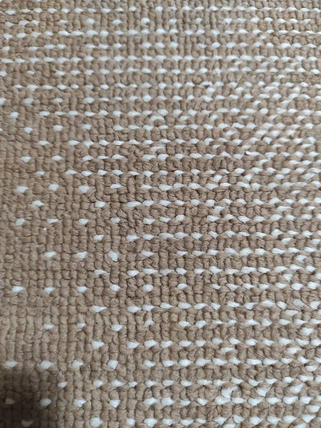 کاه ماشک کیلو۲۰،تخفیف جزیی داره|لوازم جانبی حیوانات|چرام, |دیوار