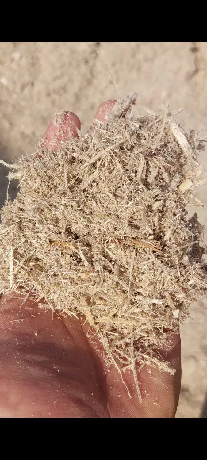 خرید و فروش انواع کاه|لوازم جانبی حیوانات|نورآباد, |دیوار